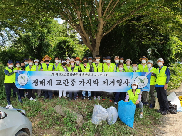(사)자연보호중앙연맹 대전서구협의회 생태교란종 식물 제거 활동
