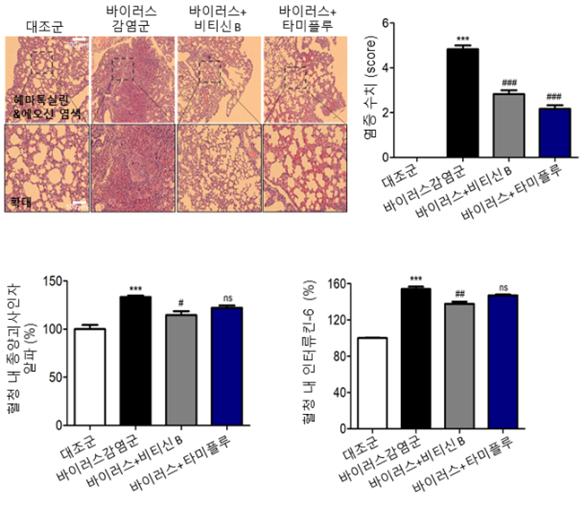 실험 결과 인플루엔자 바이러스 감염 후 식염수만 투여한 대조군은 생쥐의 폐에서 염증 수치가  증가했지만, 비티신B를 투여한 실험군에서는 대조군에 비해 염증성 지표가 감소함을 확인했다. 또한 바이러스 감염 후에 유발되는 혈청 내 염증성 사이토카인 TNF-α, IL-6를 각 대조군 대비 14%, 11% 정도 감소함을 확인했다.