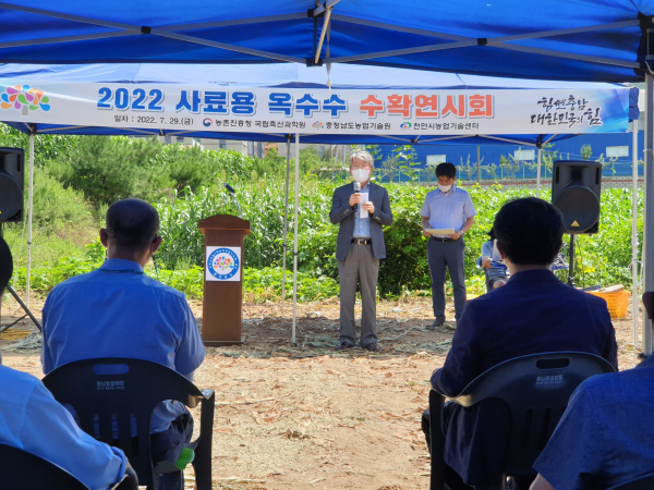 ‘사료용 옥수수 수확 연시회’ 현장/천안시 제공