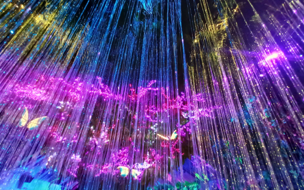 나이트 유니버스