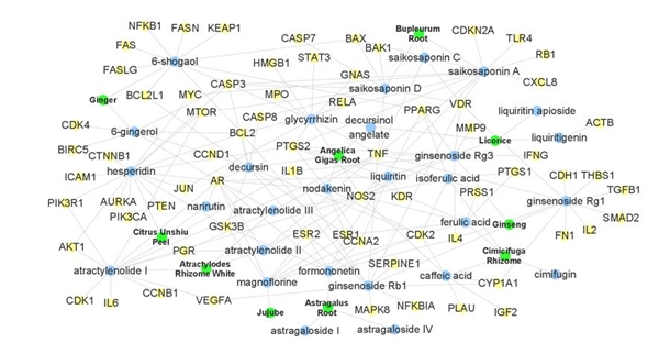 보중익기탕의 주요 성분 28가지의 타겟 유전자 70종 네트워크 분석 결과. 초록색이 보중익기탕 구성 약재, 파란색이 보중익기탕의 주요성분, 노란색은 조절 유전자를 뜻한다.