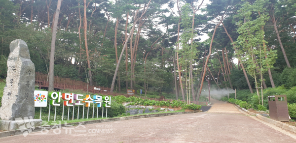 안면도 수목원 모습.