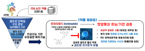 약물 가상 스크리닝 기술을 이용한 로미타피드 항암효능 개발