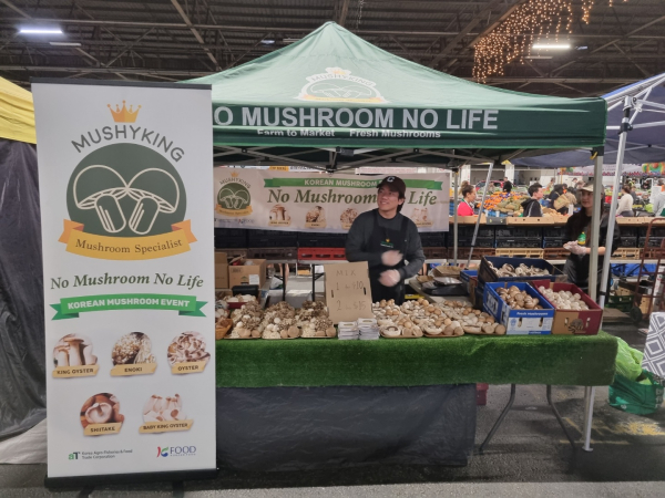 호주 브리즈번 주말마켓 버섯 판촉 부스(8.13일)