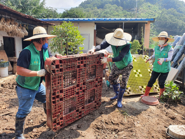 새마을가족 수해복구현장 봉사모습