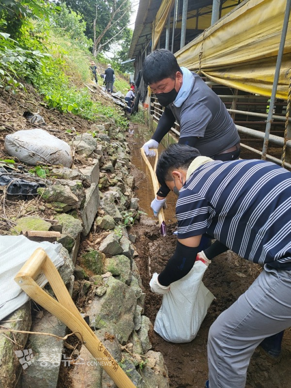 충남도 산림자원연구소는 19일 집중호우로 피해가 컸던 부여 지역 농가를 찾아 복구 활동을 펼쳤다.