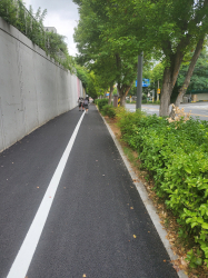 자전거도로 정비를 마친 서문로 일원(동문초교~국제통상고교)