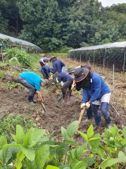 수해현장 일손돕기 봉사활동 모습