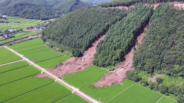 드론촬영 수해현장