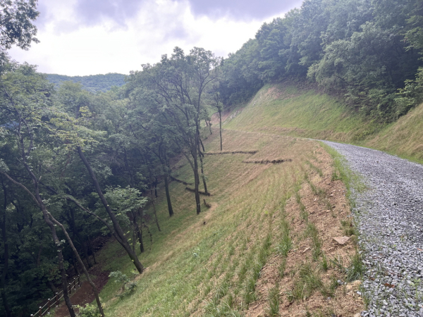 임도 평가 최우수 - 생태통로 목책
