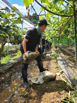 서산시 직원들이 1일 부여군 은산면을 찾아 복구 활동을 하는 모습
