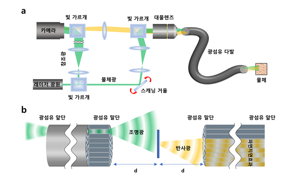 고해상도 광섬유 다발 반사 홀로그래피 내시경의 원리