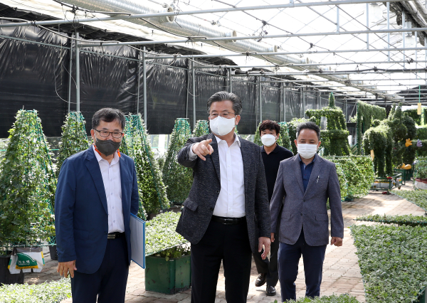 지난 2일 정용래 유성구청장이 유성구 외삼동에 위치한 양묘장을 방문해 국화전시회 준비사항을 점검하고 있다