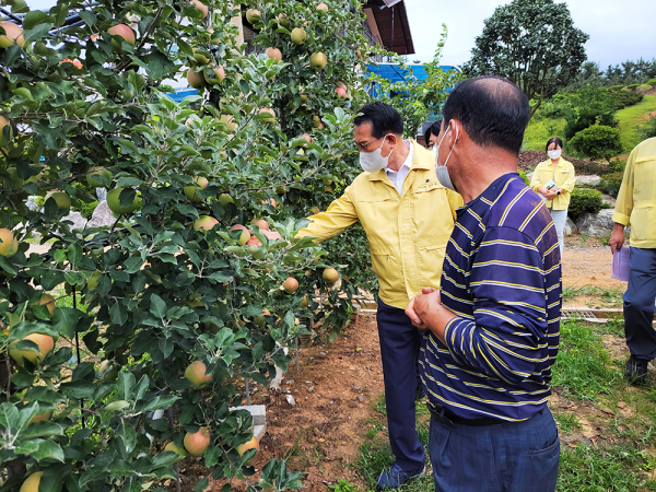 이완섭 서산시장이 9월 4일 태풍 대비 현장 점검을 하고 있다