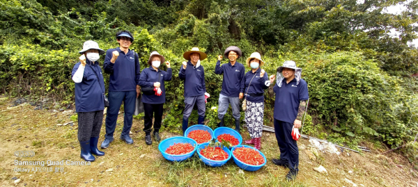 농촌에서 살아보기 활동