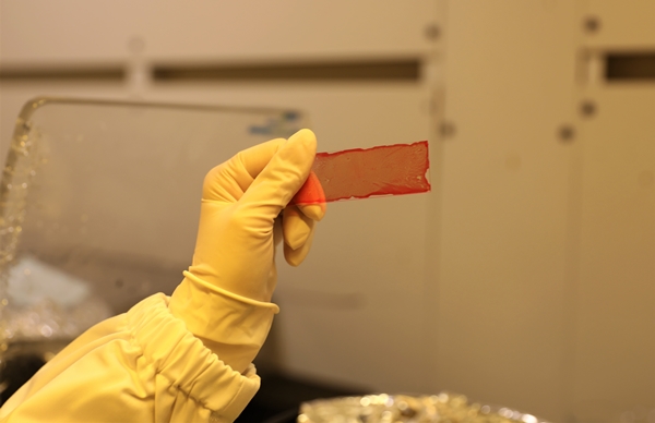 개발한 조성물로 제작한 홀로그램 기록 필름