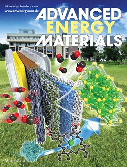 Ni 단일 원자 촉매 모사 NiS 촉매 개요도