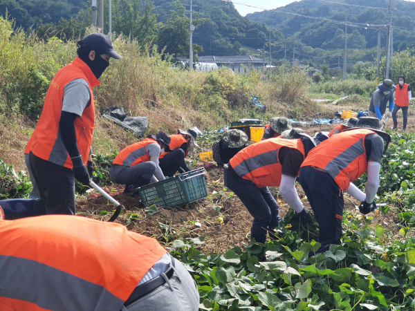 태풍 피해농가 재해복구지원 봉사활동 모습