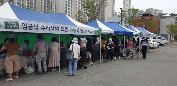 24일 도담동 로컬푸드매장에서 ‘약용나물 어수리 홍보·판매전’ 개최