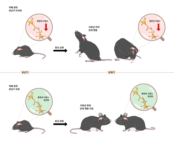 유년기 치료 여부에 따른 성체기의 자폐 증상 발현