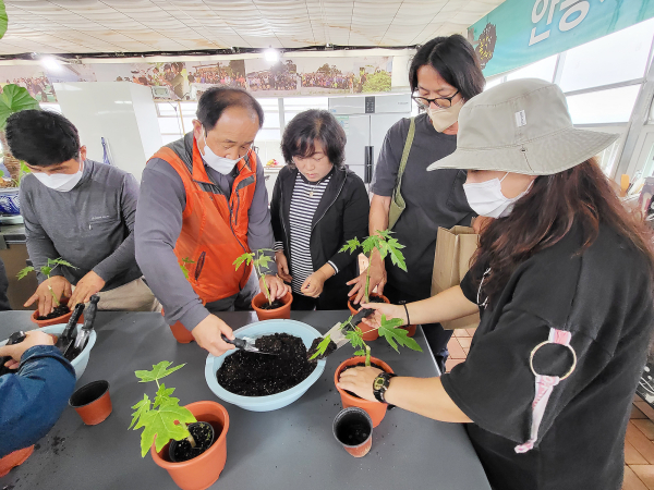 안동파파야 농장에서 강소농 정보유통 마케팅 현장 교육을 실시했다