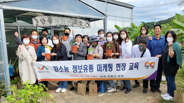 안동파파야 농장에서 강소농 정보유통 마케팅 현장 교육 기념사진