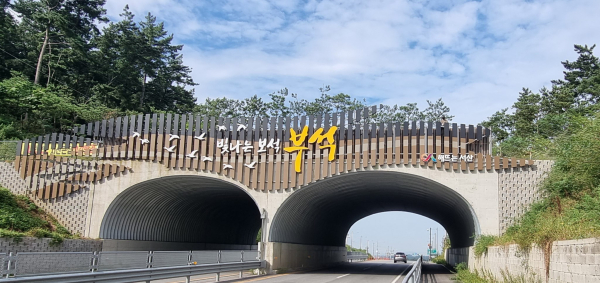 새롭게 단장한 부석면 입구 생태터널 모습