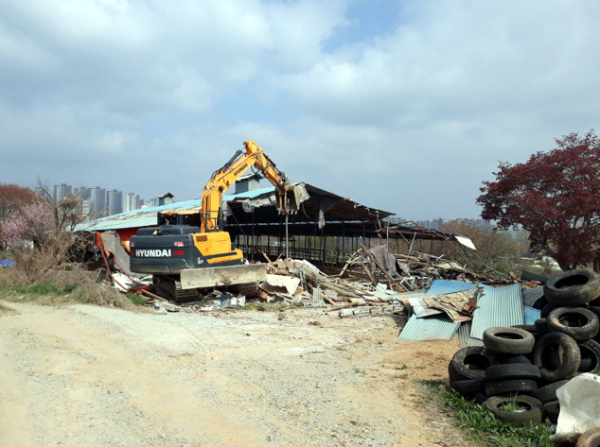 지난해 내포신도시 축사철거완료사진