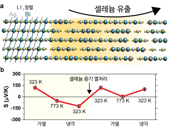 한밭대학교-KAIST 공동연구팀 연구과정 모식도