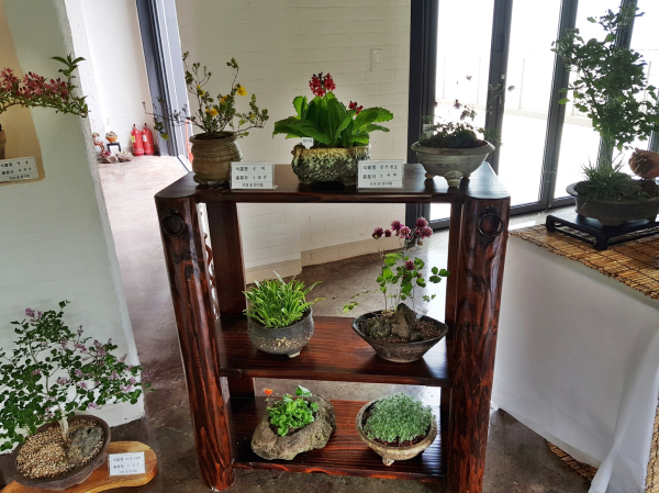 야생화 전시회 관련 이미지