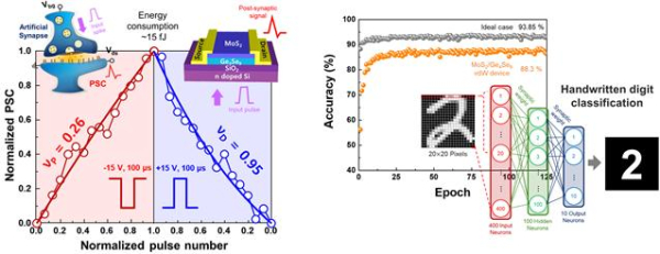 KIST-KAIST-화학연 공동 연구진이 개발한 2차원 신소재 기반 인공 시냅스 소자의 저전력ㆍ고성능 인공 시냅스 특성 (왼쪽) 및 이미지 분류 학습 정확도 테스트 (오른쪽)