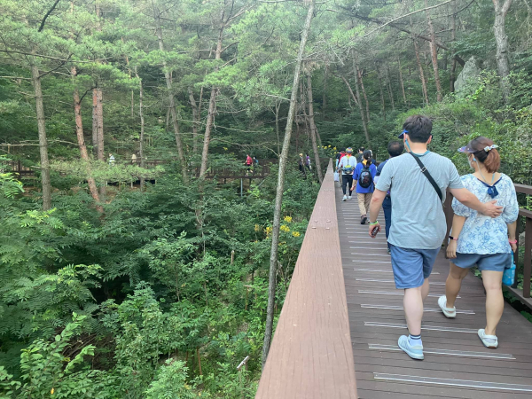 제6회 용봉산 둘레산길 걷기대회 개최