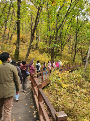 질병 예방중심 산림치유 특성화 캠프 운영