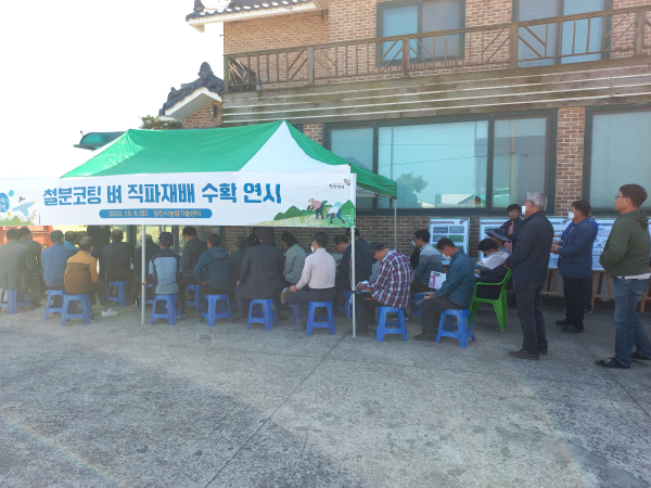 벼 직파재배 수확 연시회