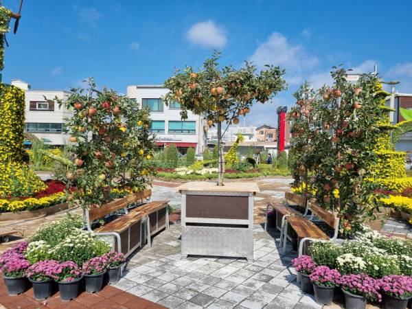 삼국축제장 사과쉼터