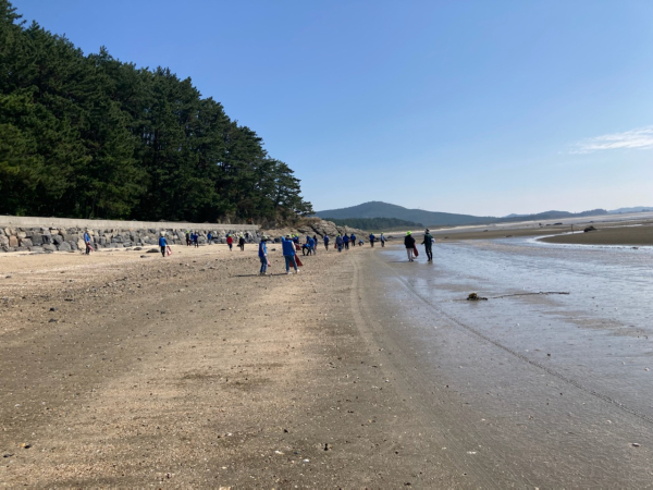 소황사구 해안경관을 훼손하는 해양쓰레기 수거