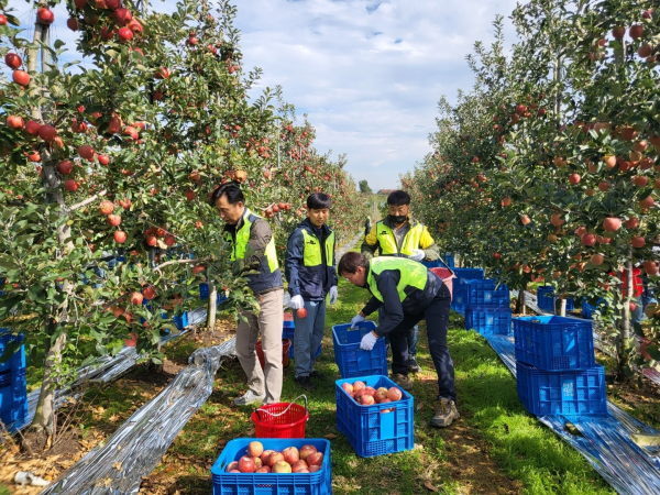 삽교읍 사과농장에서 사회공헌활동
