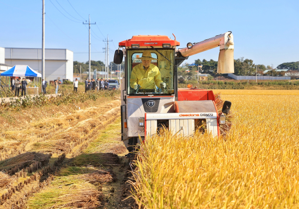 오성환 당진시장, 벼 수확 현장에서 벼 베기 시연 모습