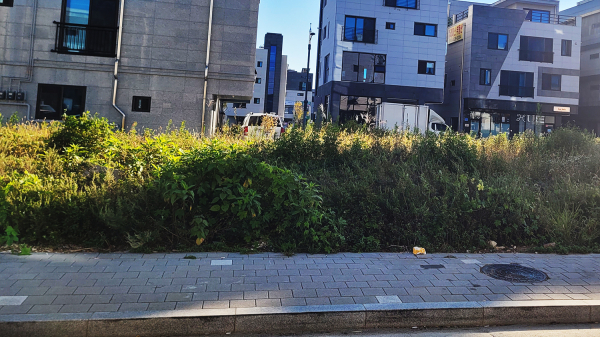 임시 공영주차장 예정지 사진