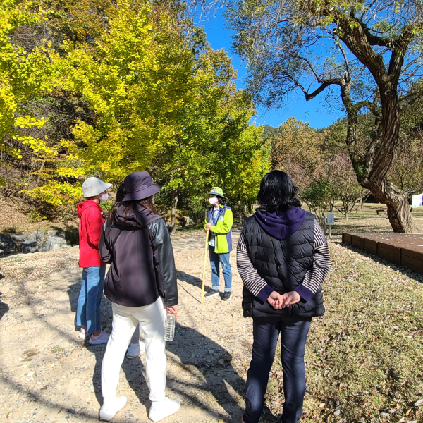 26일, '숲, 가을에 물들다'를 주제로 국립대전숲체원 '온(溫)택트 학부모 연수'운영 모습
