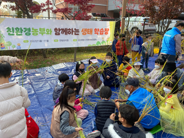 1일 한빛유치원  `한빛 쌀 추수하는 날` 행사 모습