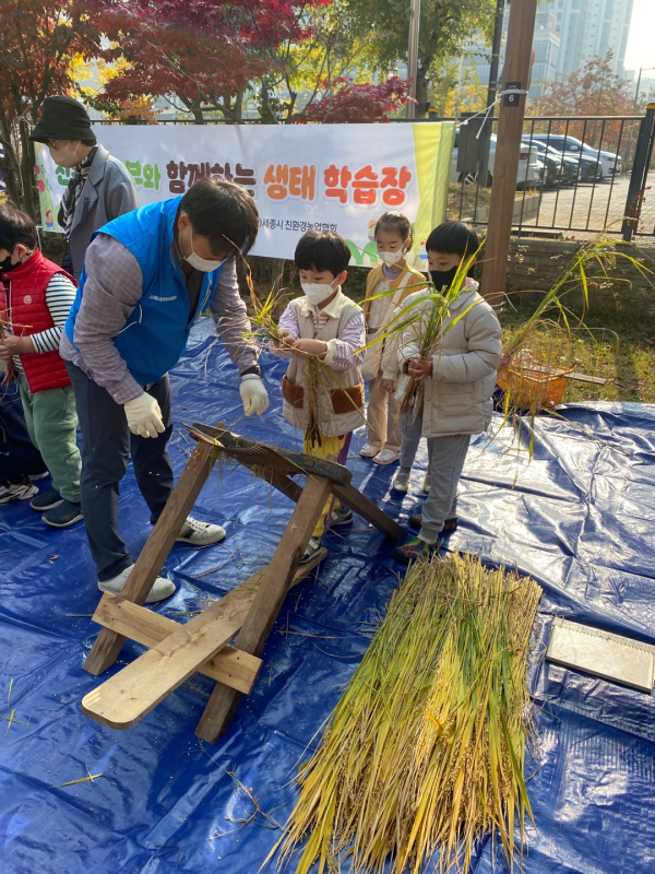 1일 한빛유치원  `한빛 쌀 추수하는 날` 행사 모습