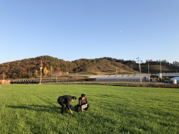 조사료 생산현장 점검 모습
