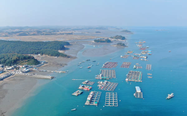 친환경 부표 지원 추진(구매항 가두리)