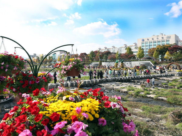 제13회 유성국화전시회 전경