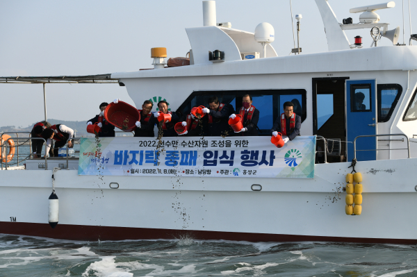 바지락 양식장 13개소 483ha에 종패 33톤을 살포