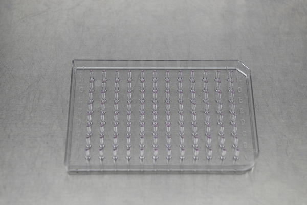 KRISS 연구진이 실험에 사용한 3차원 세포배양시스템