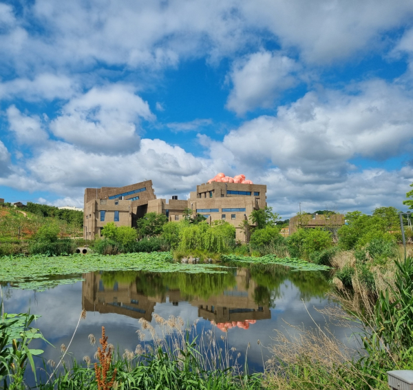 세종시 도도리파크