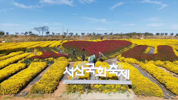 제23회 서산국화축제 현장 모습