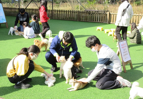 대전학생해양수련원 희망海 가족캠프 모습